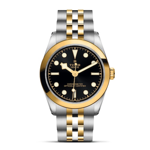 Tudor Black Bay 31