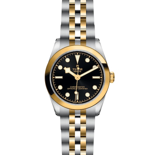 Tudor Black Bay 31